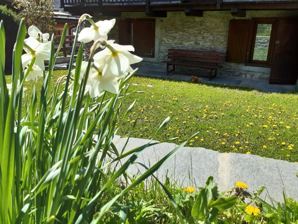 Apartamento Sauze d'Oulx with garden, ciâbőt la garitüla Exterior foto