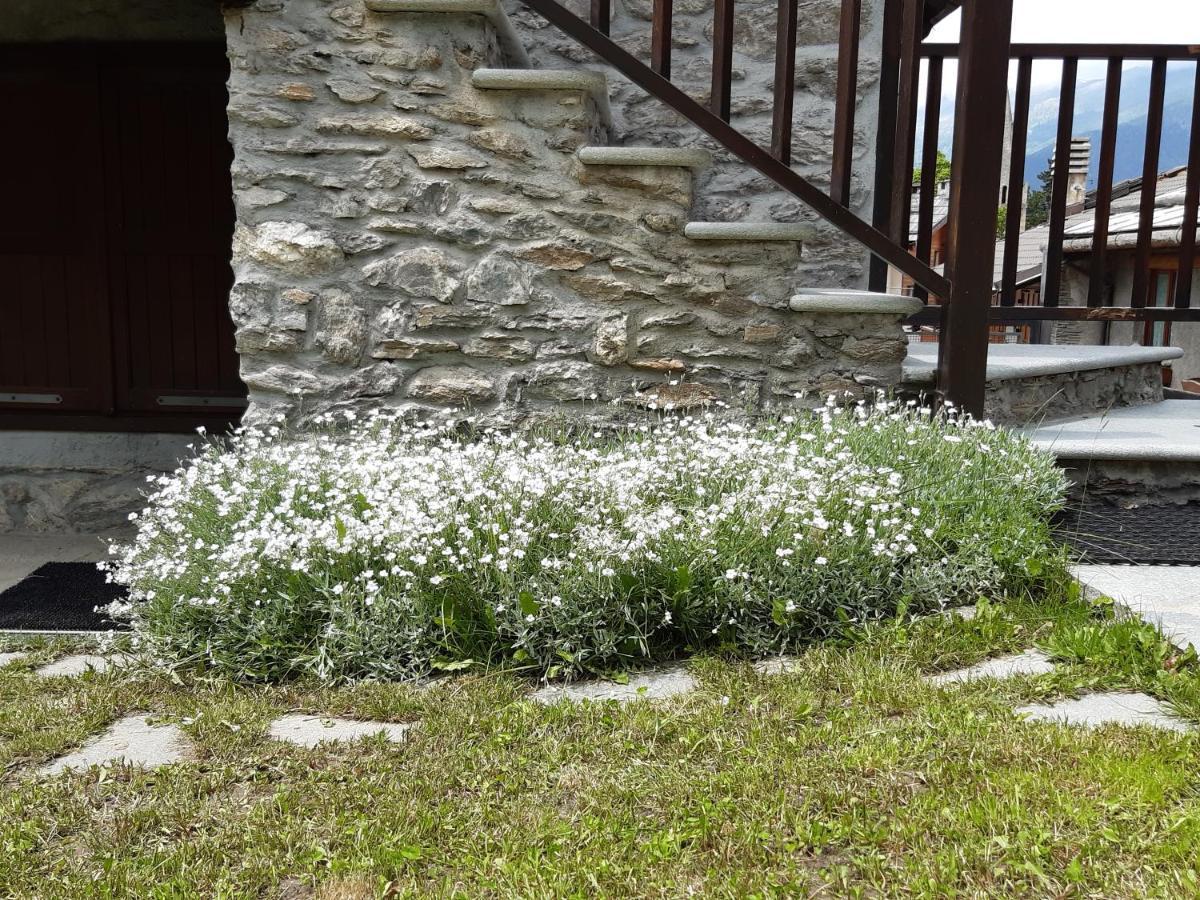 Apartamento Sauze d'Oulx with garden, ciâbőt la garitüla Exterior foto